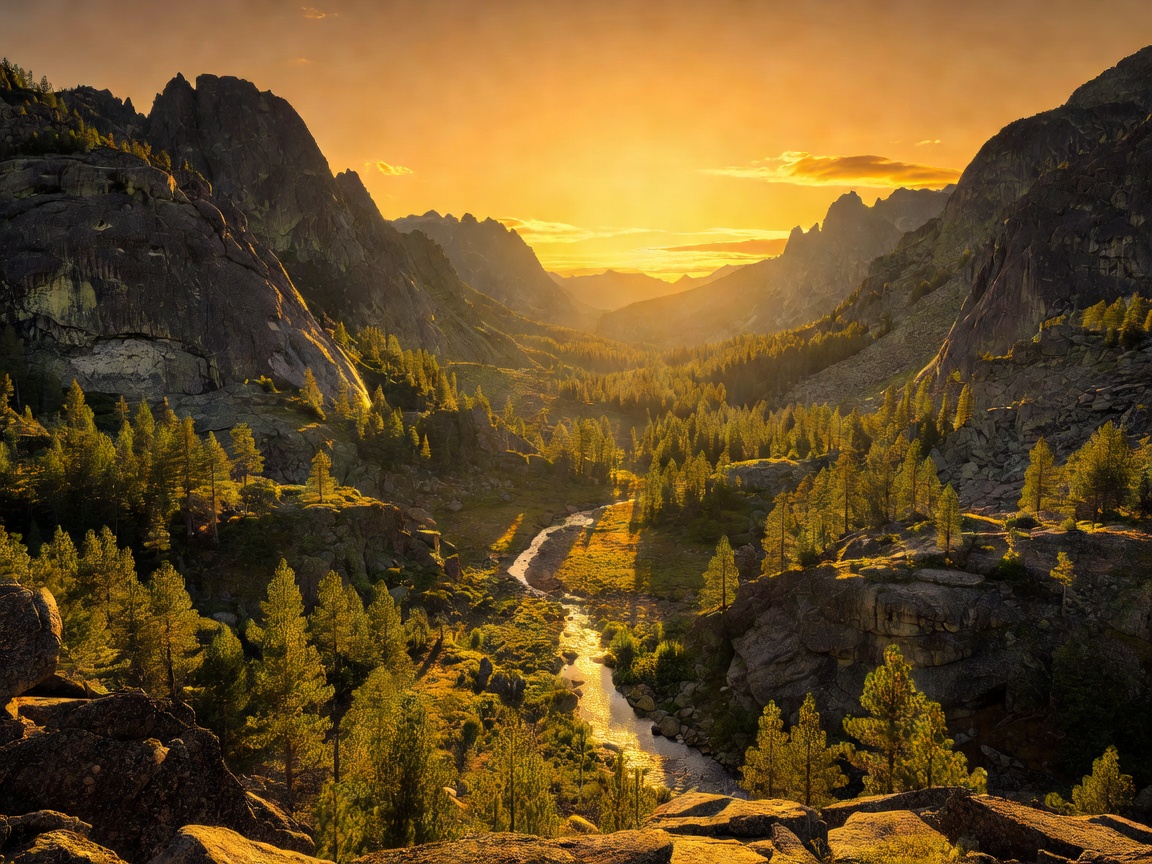 Scenic cartoon view of a rugged canyon valley painted in beautiful golden sunset hues